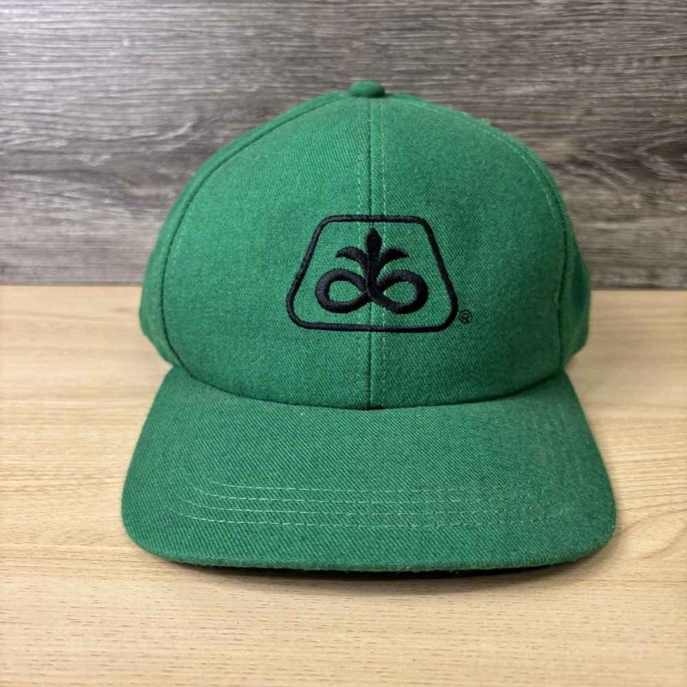Vintage Pioneer Seeds Hat Cap Snap Back Green Advertising Mens‎ Made USA 90s